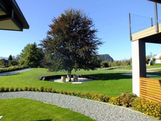 Copper Beech Wanaka Luxury Accommodation