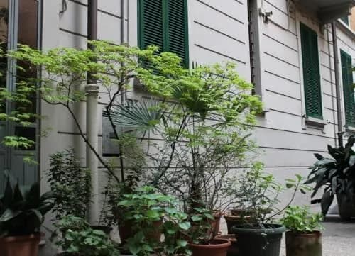 Lepetit Milano