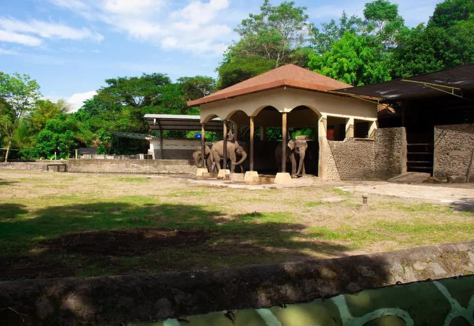 Griya Lathifah Homestay
