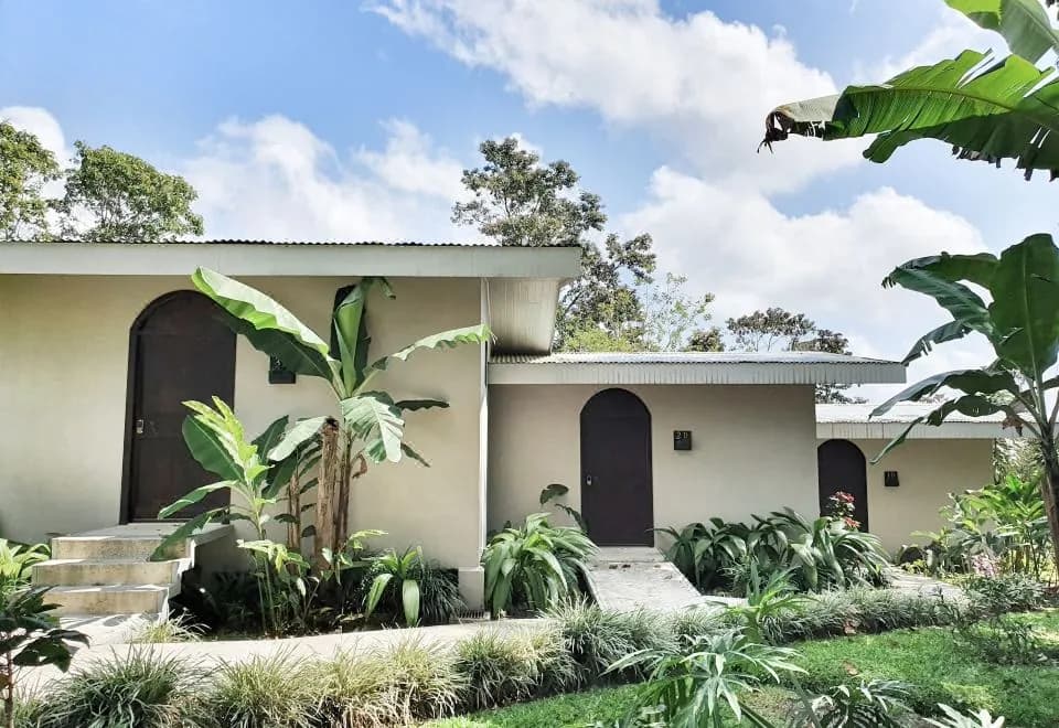 Yellow Tree Suites