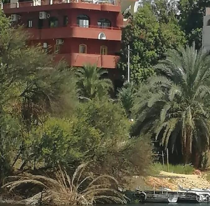 El Prince Guest House