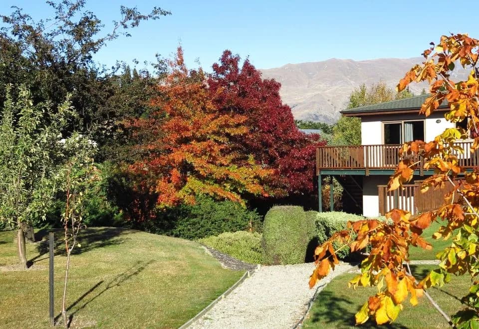 Black Peak View