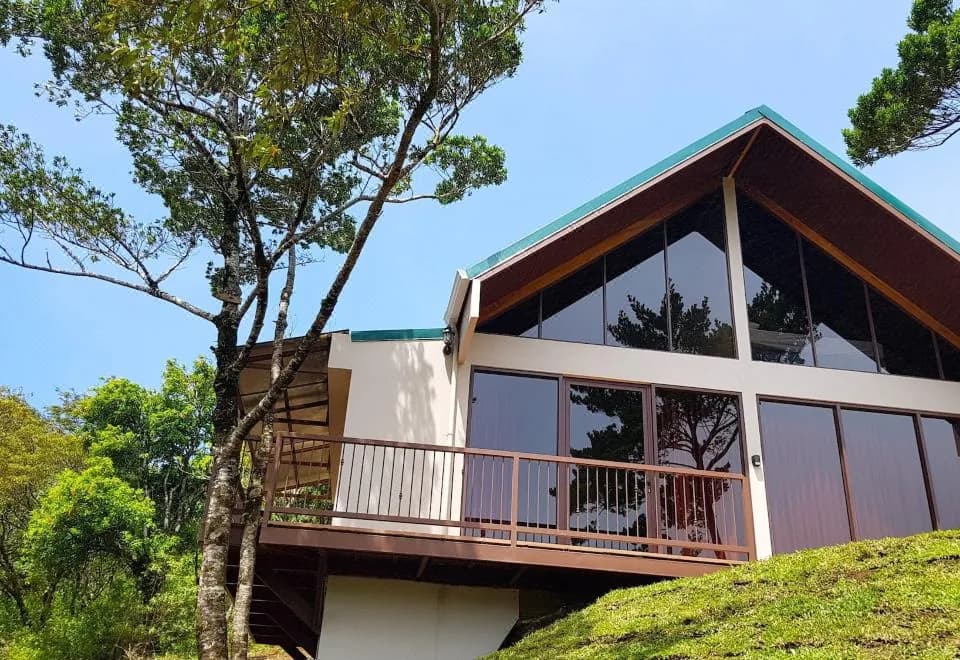 Green Forest Vacations Homes