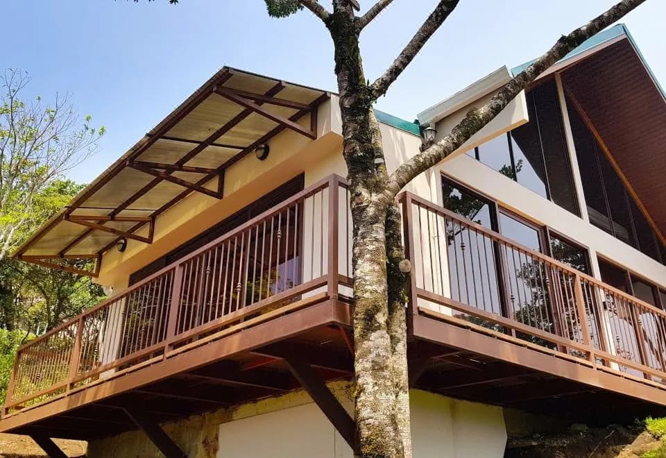 Green Forest Vacations Homes
