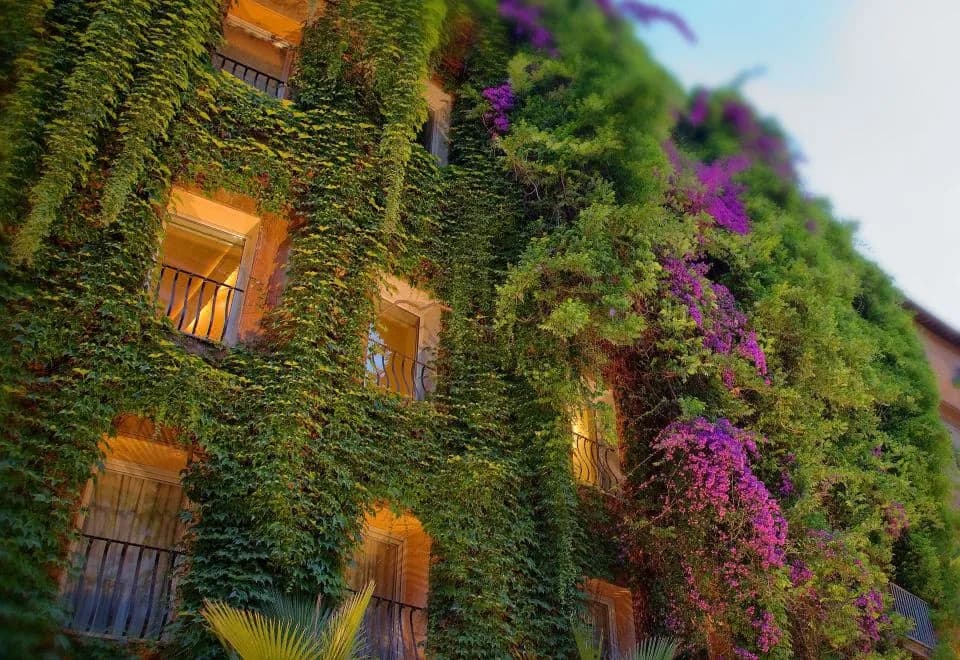 Bio Hotel Raphael - Relais & Châteaux