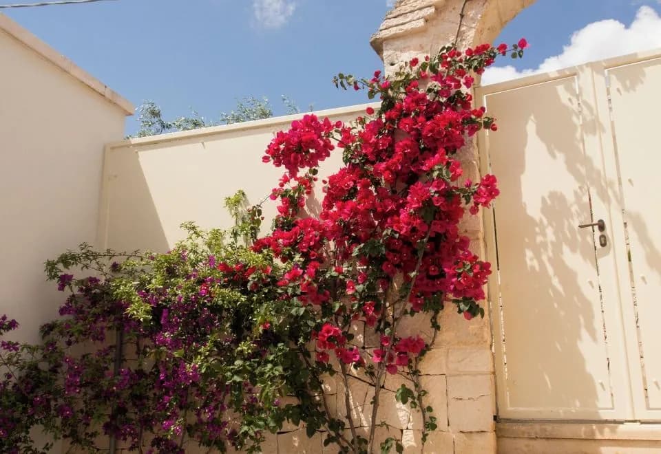 Trullo Monte Olimpo 5