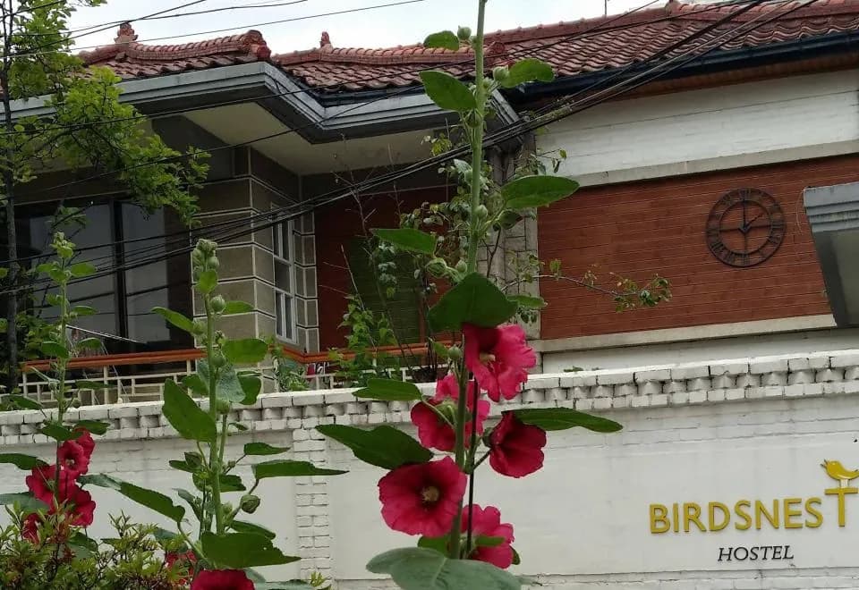 Birdsnest Hostel Hongdae Foreigner Only
