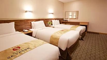 Hotel Skypark Myeongdong 1