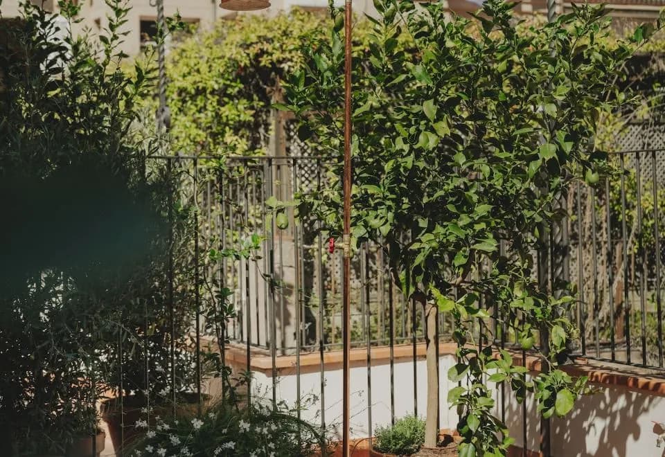 Casa Llimona Hotel Boutique