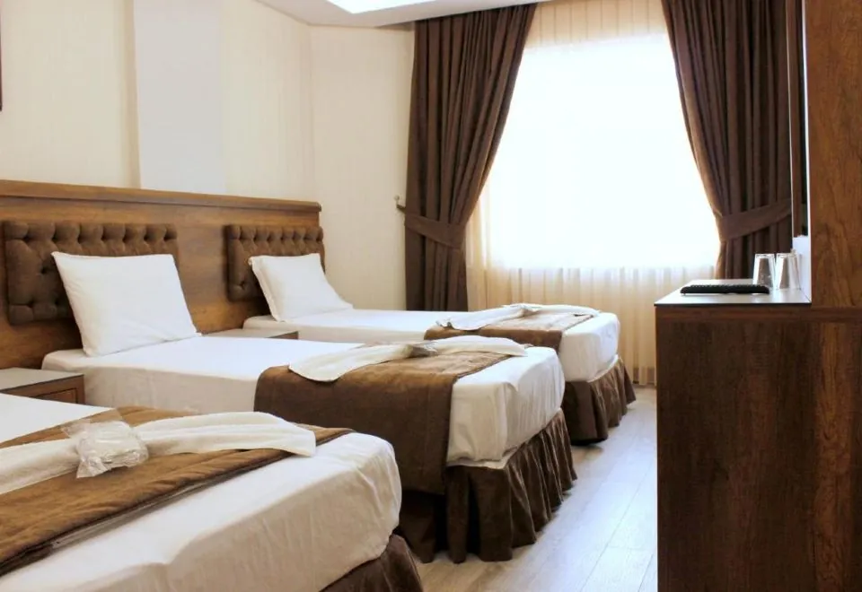 Hotel Buyuk Paris