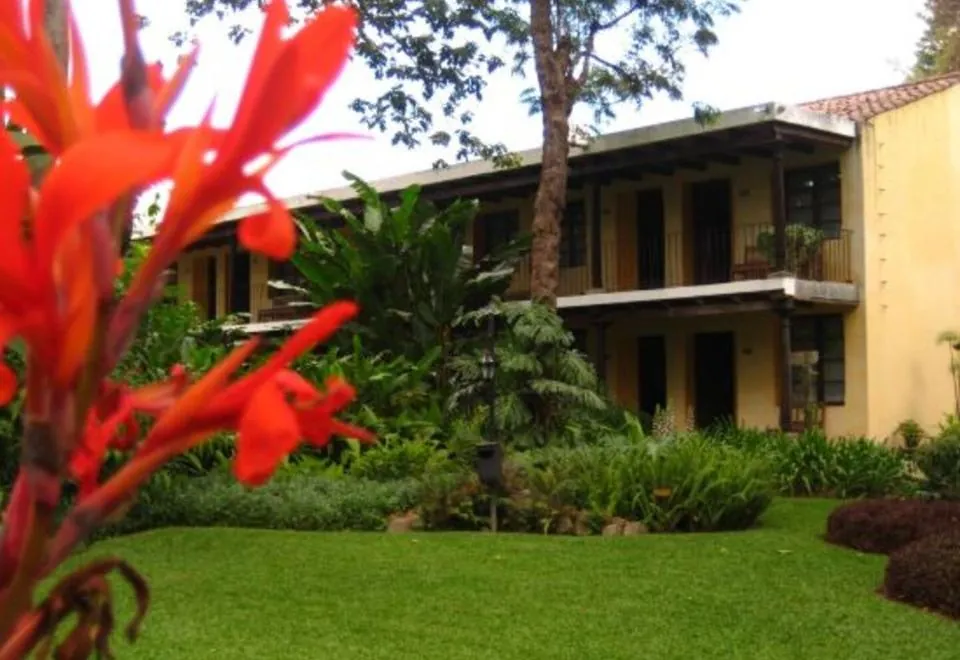 Hotel Las Farolas