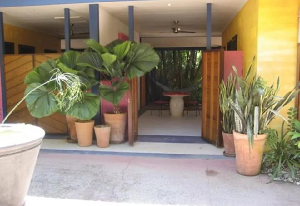 Pink Flamingo Resort
