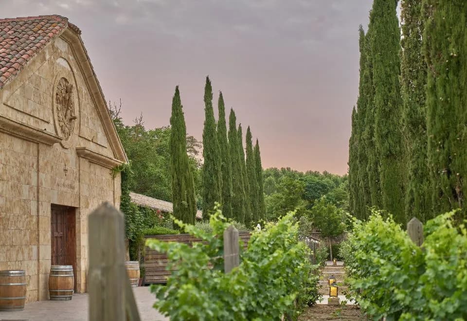 Hacienda Zorita Wine Hotel & Spa