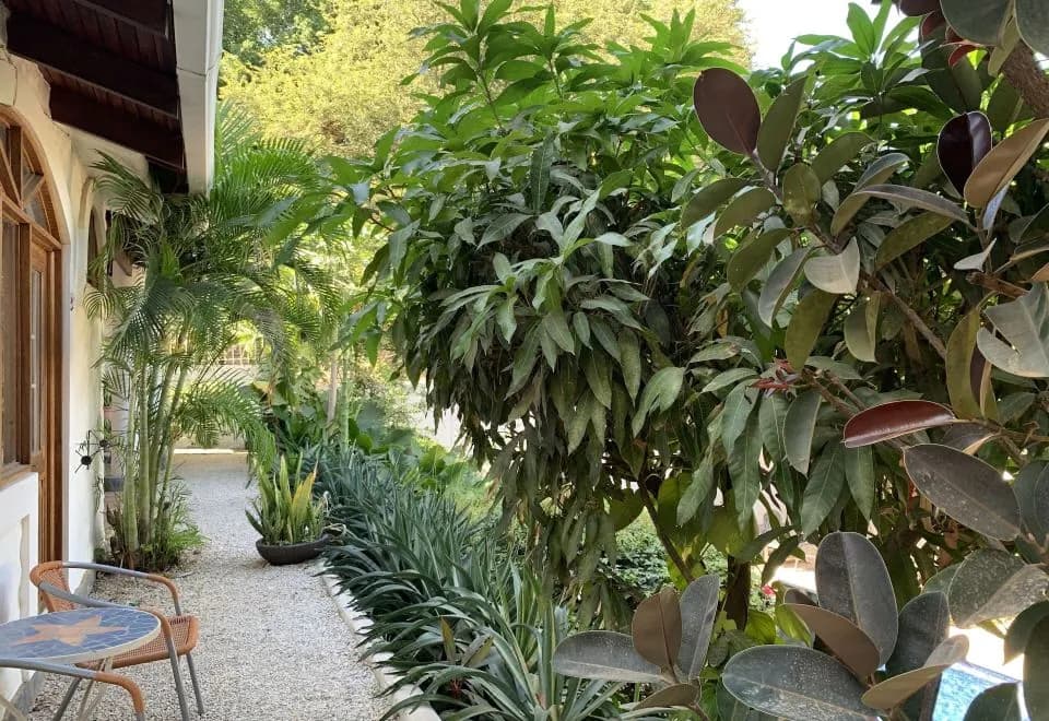 Hotel Flores - Adults Only