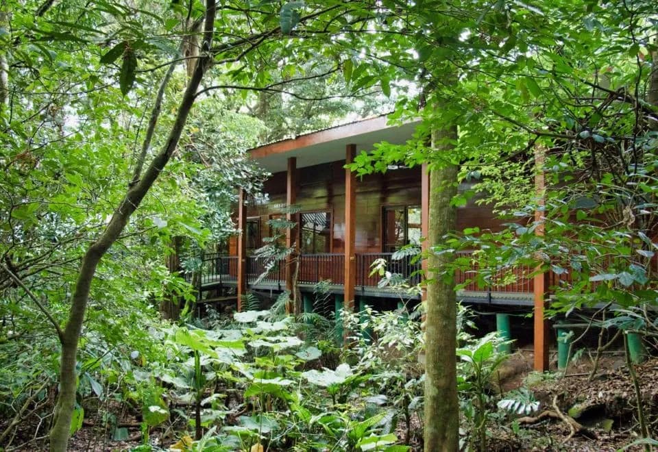 Jaguarundi Lodge - Monteverde