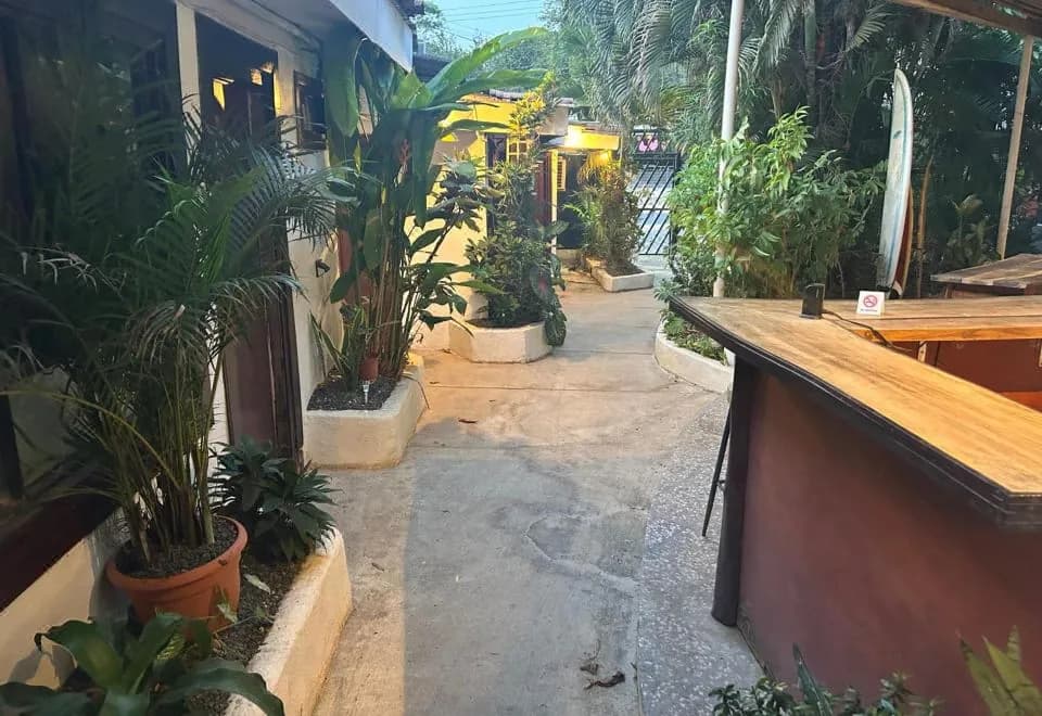 Pura Vida Hostel