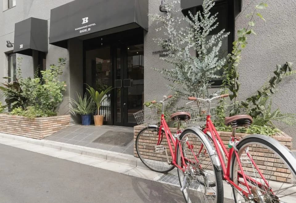 Kangaroo Hotel Side B
