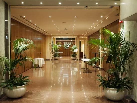 Hotel Michelangelo