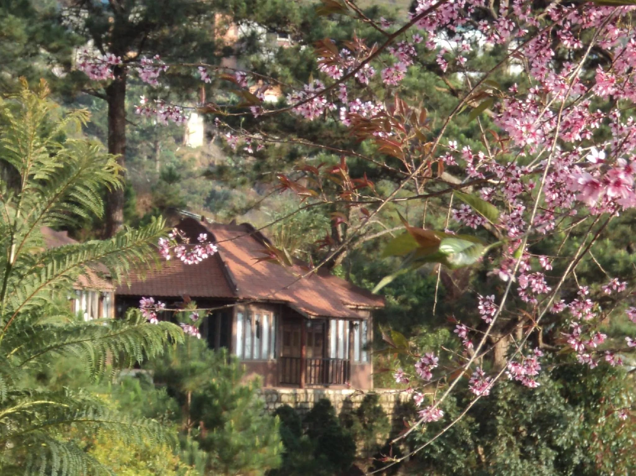 Osaka Resort