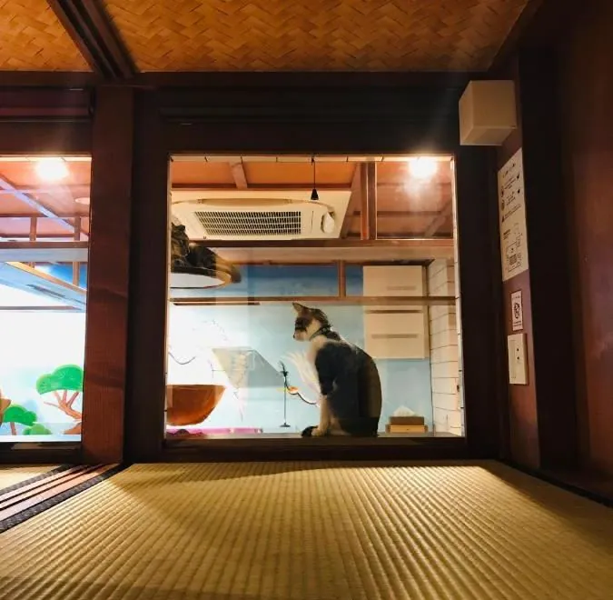 Cat Spa & Cat Ryokan by Neco Republic Osaka