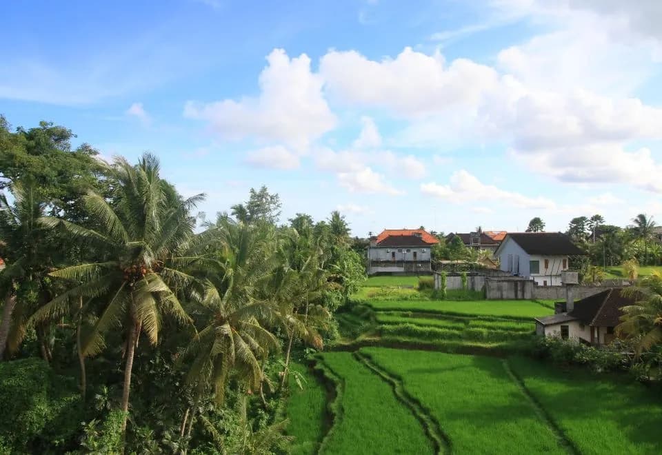 Villa Ubud Sunshine
