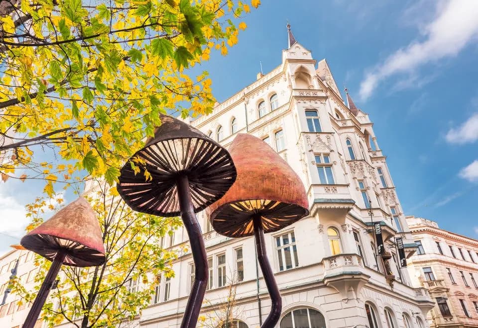 MOOo Downtown