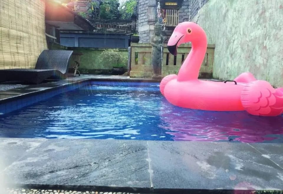 Alamanda Accomodation