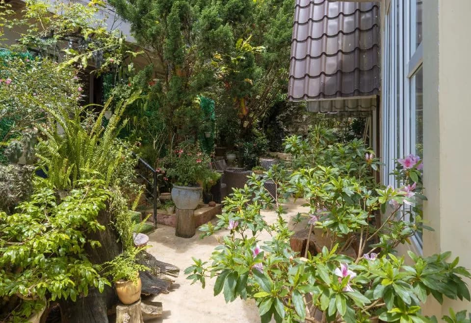 Homestay VuonTung (Pine Garden)