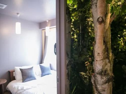 The Wardrobe Hostel Forest Shimokitazawa