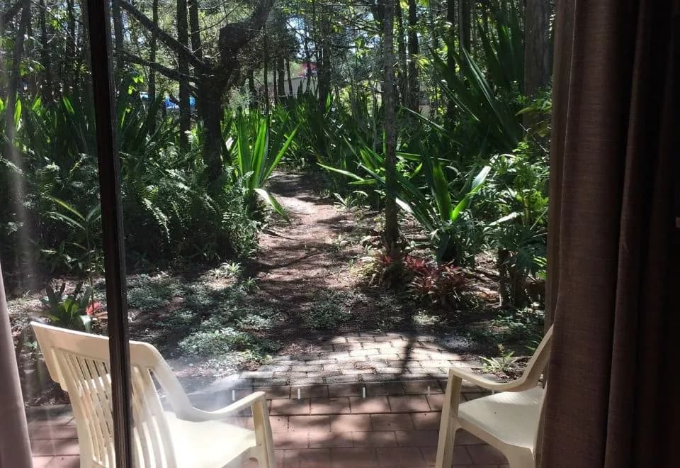 Byron Bay Rainforest Resort