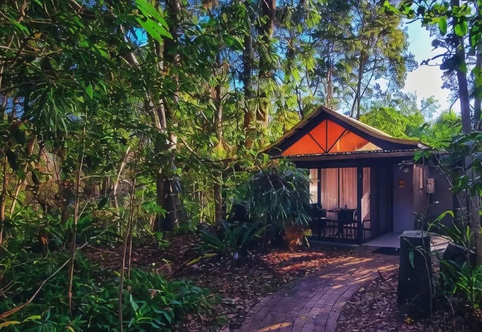 Byron Bay Rainforest Resort