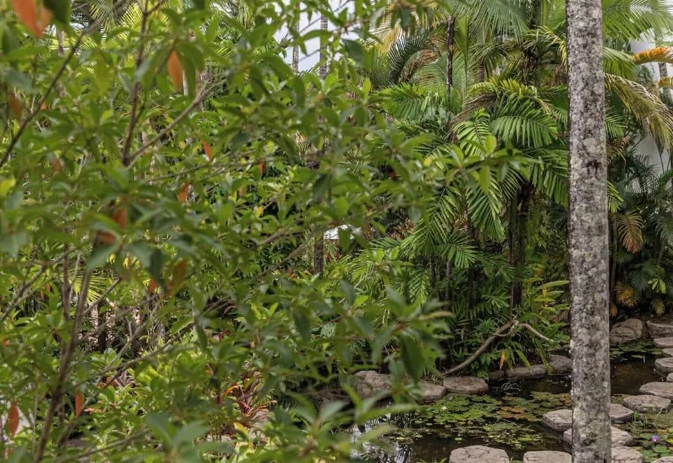 Club Tropical Resort PortDouglas