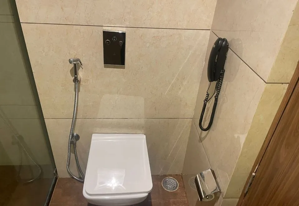 Hotel Shri Ram Excellency