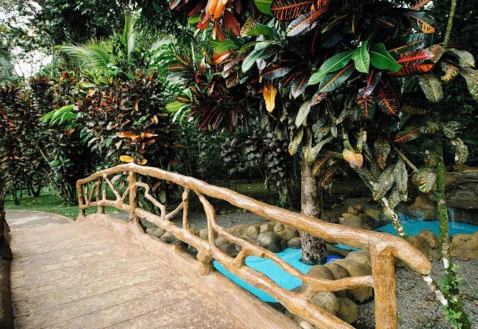 Hotel Las Orquideas