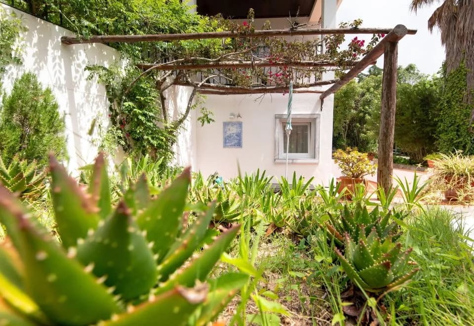 Quinta Verde Sintra