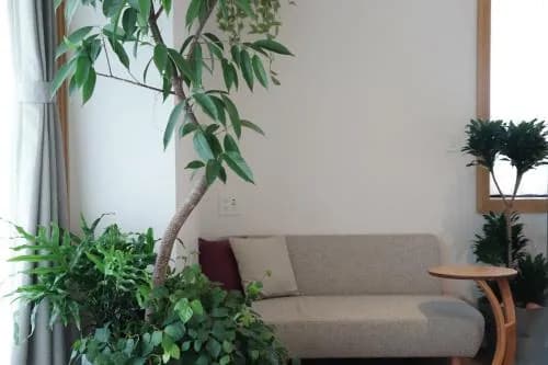 Hotel Noum Osaka