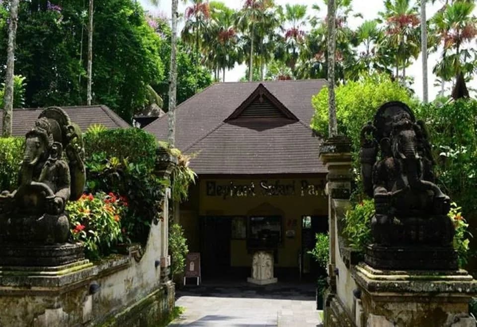 Mason Elephant Lodge