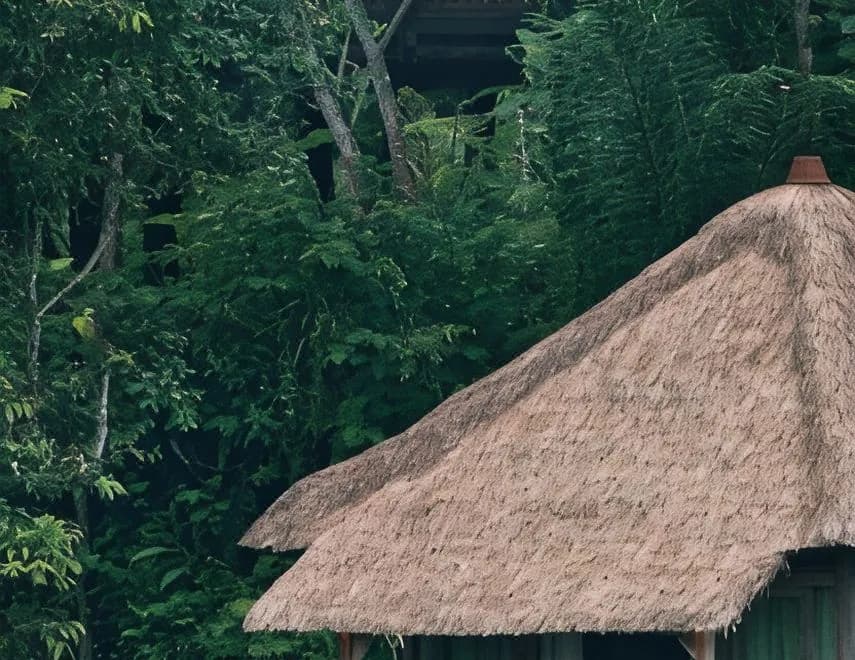Puri Sebatu Resort Bali